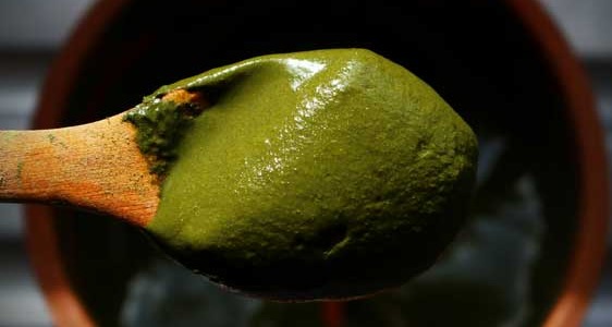 Teindre les cheveux avec du henné naturel et des poudres ayurvédiques